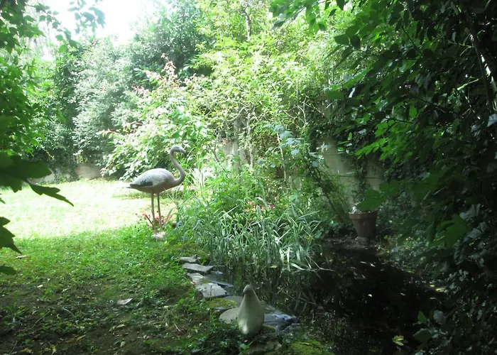 Appart Jungle