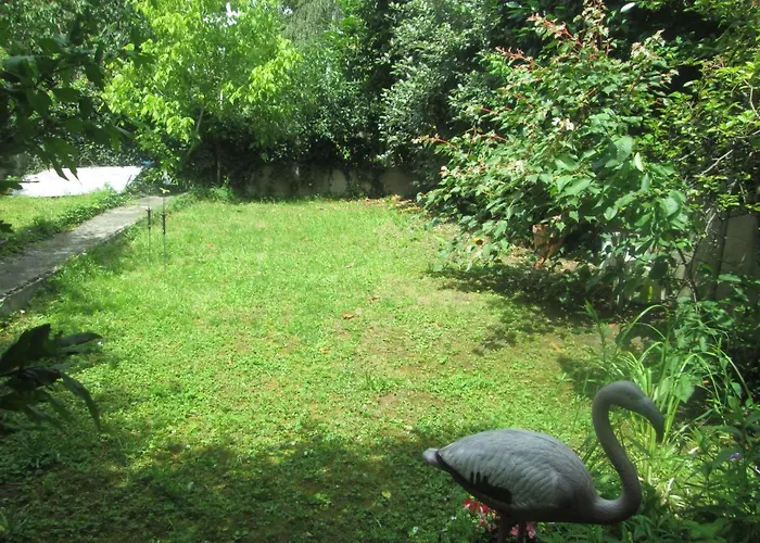 Appart Jungle