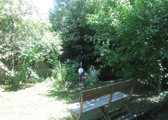 Appart Jungle