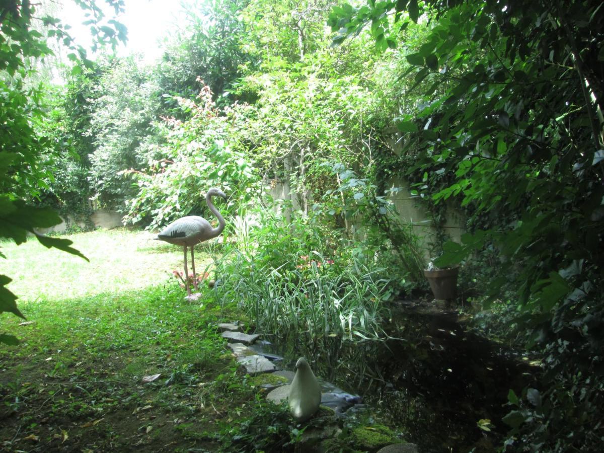 Jungle *